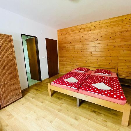 Penzion Horal Hotel Dolni Morava Ngoại thất bức ảnh