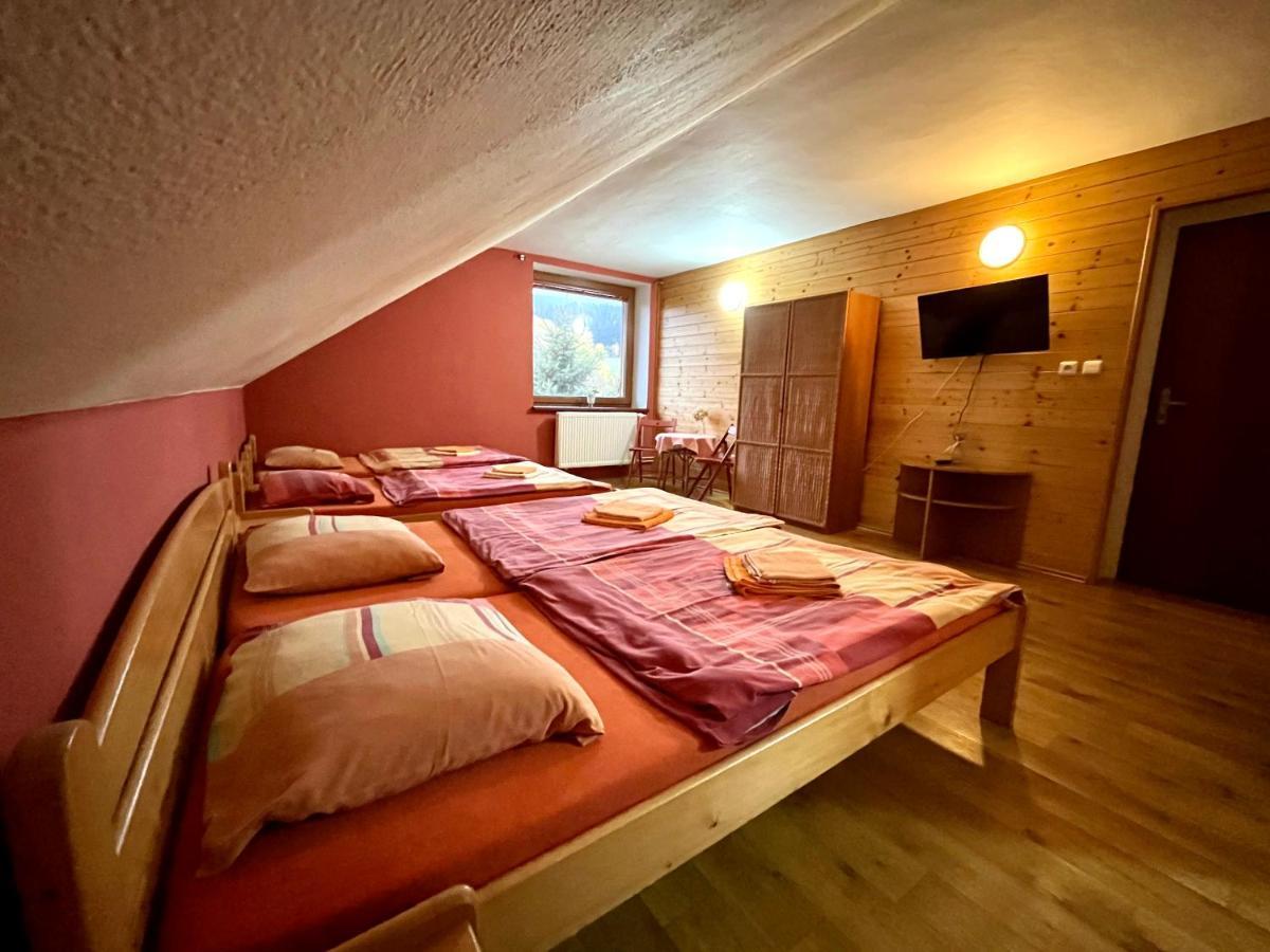 Penzion Horal Hotel Dolni Morava Ngoại thất bức ảnh