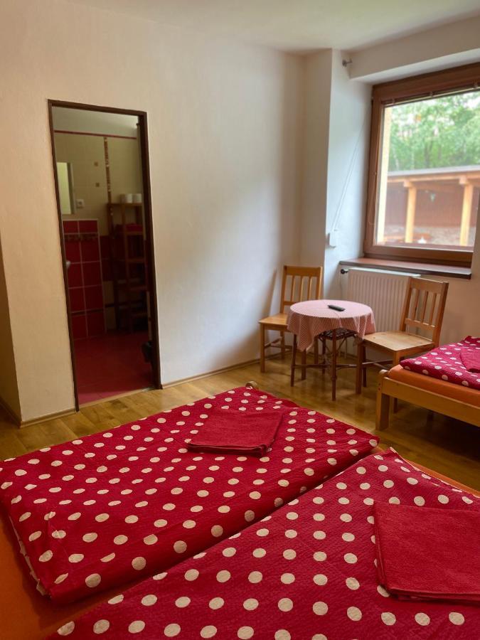 Penzion Horal Hotel Dolni Morava Ngoại thất bức ảnh